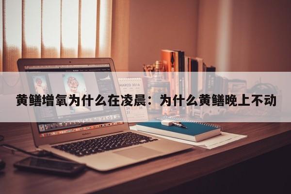 黄鳝增氧为什么在凌晨：为什么黄鳝晚上不动