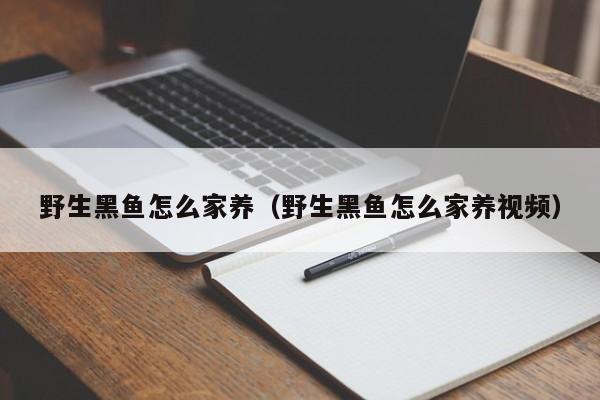 野生黑鱼怎么家养（野生黑鱼怎么家养视频）
