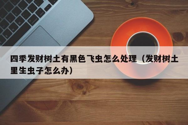 四季发财树土有黑色飞虫怎么处理（发财树土里生虫子怎么办）