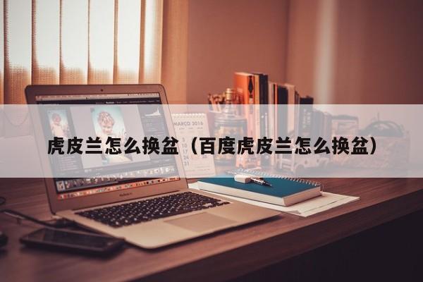 虎皮兰怎么换盆（百度虎皮兰怎么换盆）