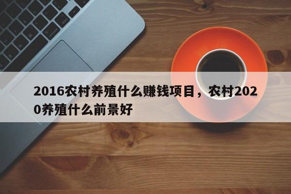 2016农村养殖什么赚钱项目，农村2020养殖什么前景好