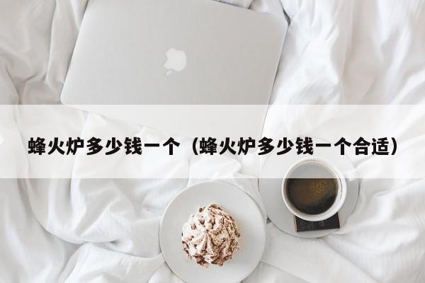 蜂火炉多少钱一个（蜂火炉多少钱一个合适）