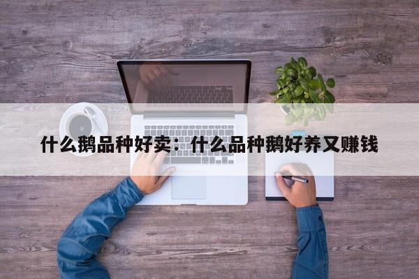 什么鹅品种好卖：什么品种鹅好养又赚钱