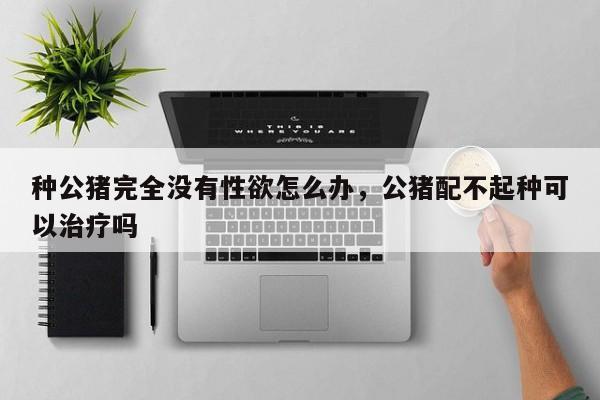 种公猪完全没有性欲怎么办，公猪配不起种可以治疗吗