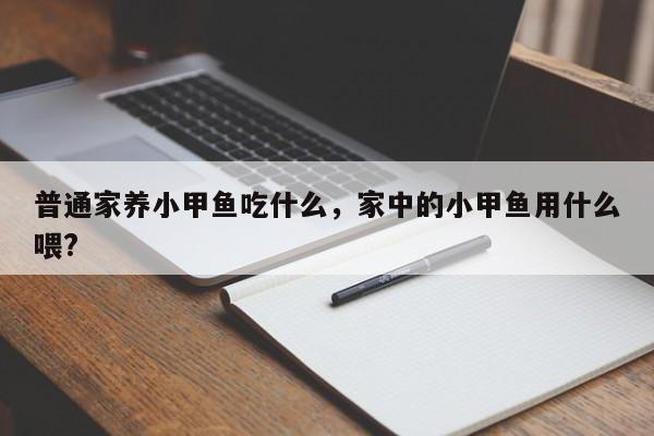 普通家养小甲鱼吃什么，家中的小甲鱼用什么喂?