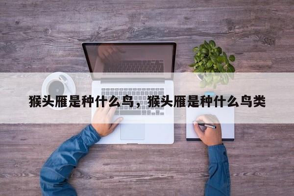 猴头雁是种什么鸟，猴头雁是种什么鸟类