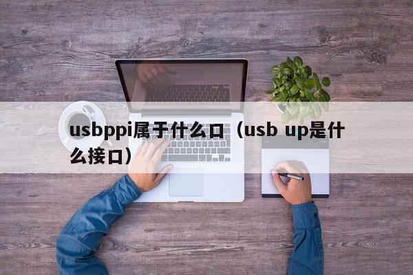 usbppi属于什么口(usb up是什么接口)