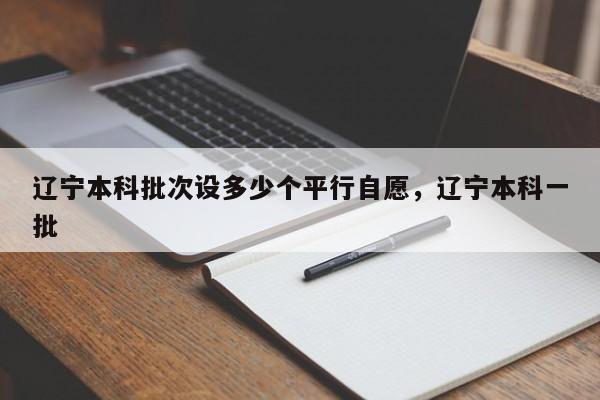 辽宁本科批次设多少个平行自愿,辽宁本科一批