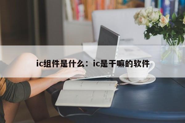 ic组件是什么：ic是干嘛的软件