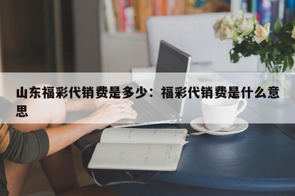 山东福彩代销费是多少:福彩代销费是什么意思