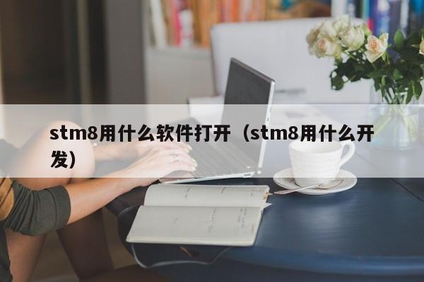 stm8用什么软件打开(stm8用什么开发)