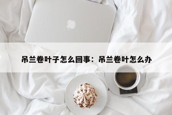 吊兰卷叶子怎么回事：吊兰卷叶怎么办