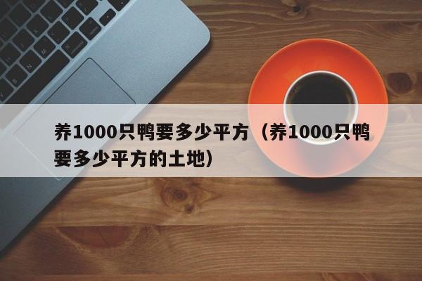 养1000只鸭要多少平方（养1000只鸭要多少平方的土地）