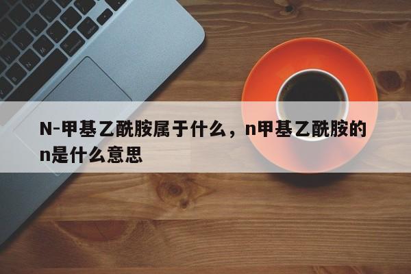 N-甲基乙酰胺属于什么,n甲基乙酰胺的 n是什么意思