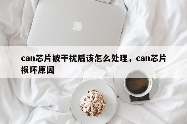 can芯片被干扰后该怎么处理，can芯片损坏原因