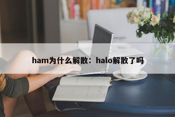 ham为什么解散：halo解散了吗