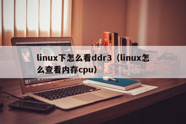 linux下怎么看ddr3（linux怎么查看内存cpu）