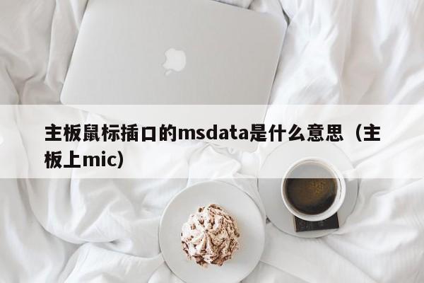 主板鼠标插口的msdata是什么意思(主板上mic)