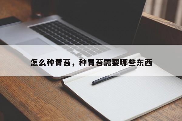 怎么种青苔,种青苔需要哪些东西