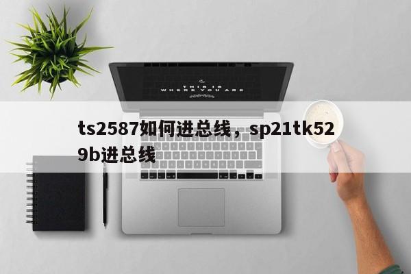 ts2587如何进总线，sp21tk529b进总线