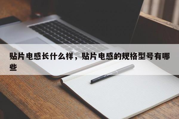 贴片电感长什么样，贴片电感的规格型号有哪些