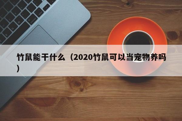 竹鼠能干什么(2020竹鼠可以当宠物养吗)