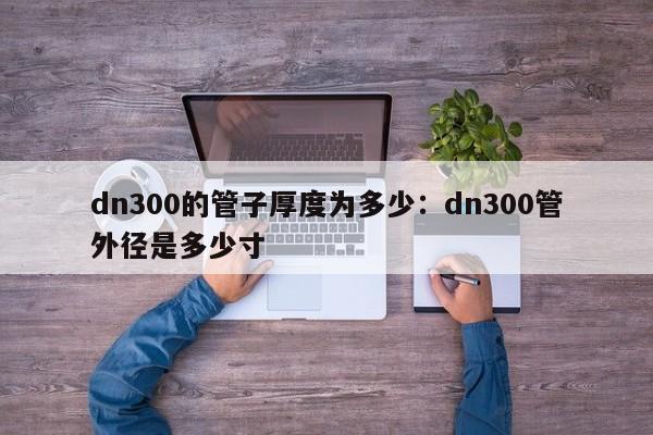 dn300的管子厚度为多少:dn300管外径是多少寸