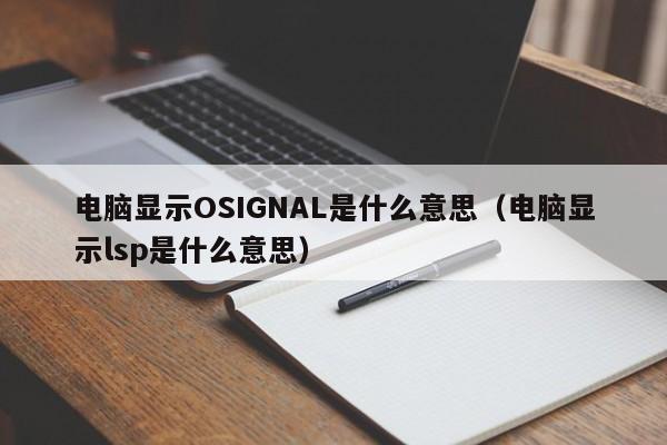 电脑显示OSIGNAL是什么意思（电脑显示lsp是什么意思）