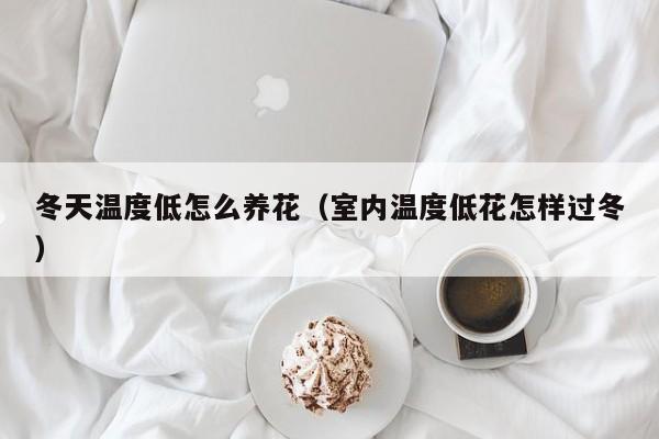冬天温度低怎么养花（室内温度低花怎样过冬）