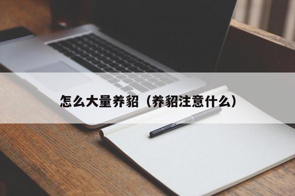 怎么大量养貂（养貂注意什么）