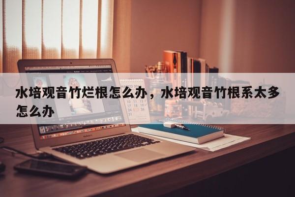 水培观音竹烂根怎么办，水培观音竹根系太多怎么办
