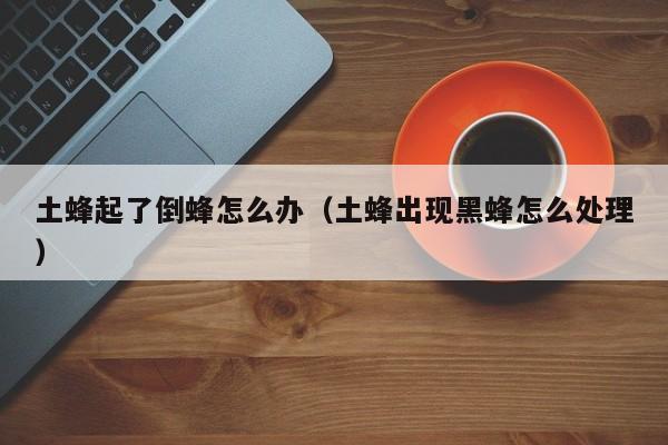 土蜂起了倒蜂怎么办（土蜂出现黑蜂怎么处理）