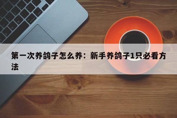 第一次养鸽子怎么养：新手养鸽子1只必看方法
