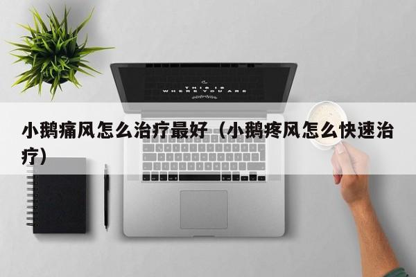 小鹅痛风怎么治疗最好（小鹅疼风怎么快速治疗）