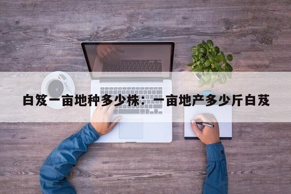 白笈一亩地种多少株：一亩地产多少斤白芨