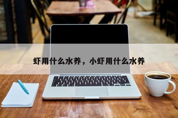 虾用什么水养，小虾用什么水养