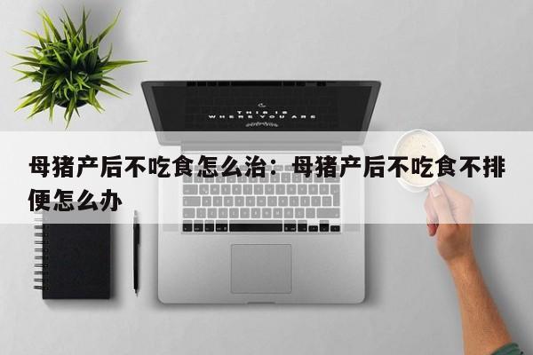 母猪产后不吃食怎么治：母猪产后不吃食不排便怎么办