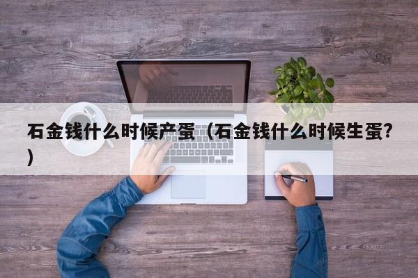 石金钱什么时候产蛋（石金钱什么时候生蛋?）