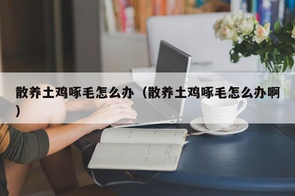 散养土鸡啄毛怎么办（散养土鸡啄毛怎么办啊）