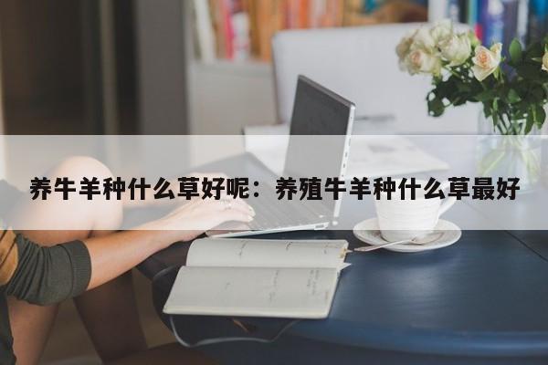 养牛羊种什么草好呢：养殖牛羊种什么草最好