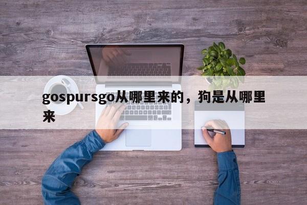 gospursgo从哪里来的，狗是从哪里来