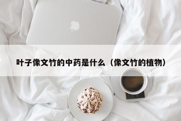 叶子像文竹的中药是什么（像文竹的植物）
