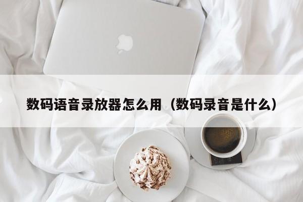 数码语音录放器怎么用（数码录音是什么）