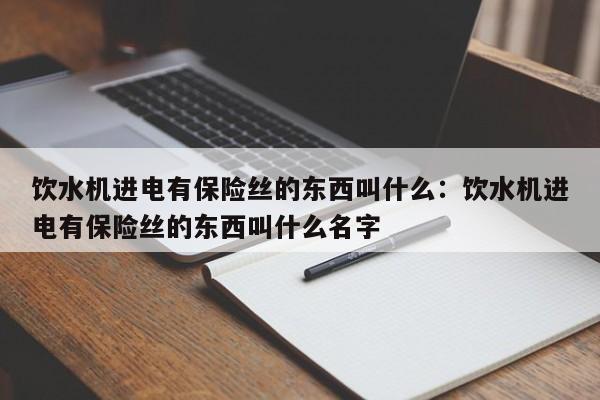 饮水机进电有保险丝的东西叫什么：饮水机进电有保险丝的东西叫什么名字