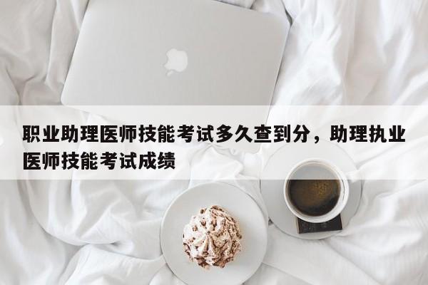 职业助理医师技能考试多久查到分，助理执业医师技能考试成绩