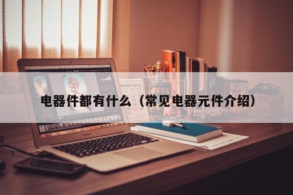电器件都有什么（常见电器元件介绍）