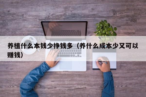养植什么本钱少挣钱多（养什么成本少又可以赚钱）