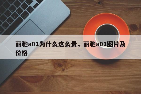 丽驰a01为什么这么贵，丽驰a01图片及价格