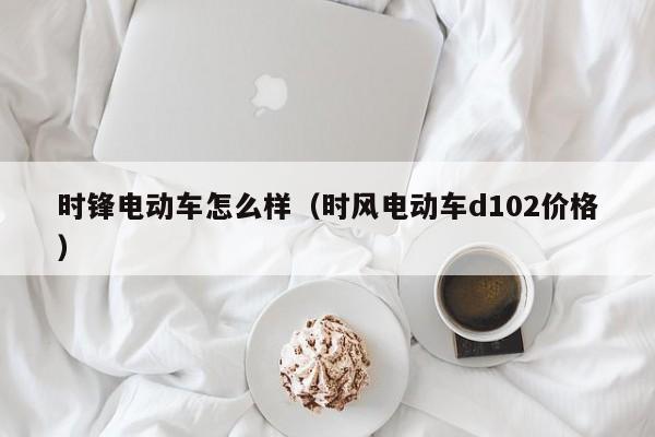 时锋电动车怎么样（时风电动车d102价格）