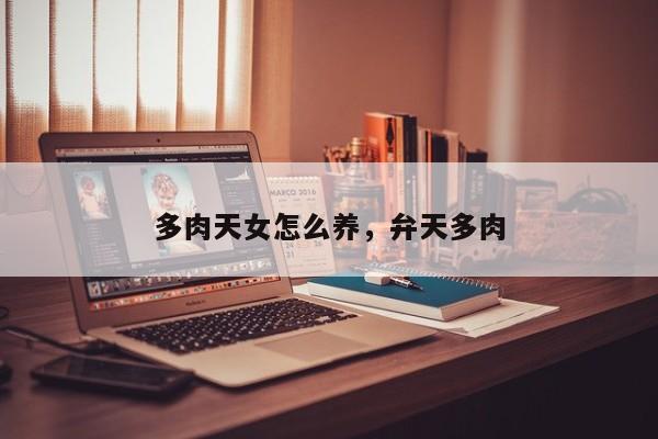 多肉天女怎么养，弁天多肉
